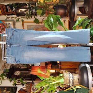 Wallflower Jeans Size 17